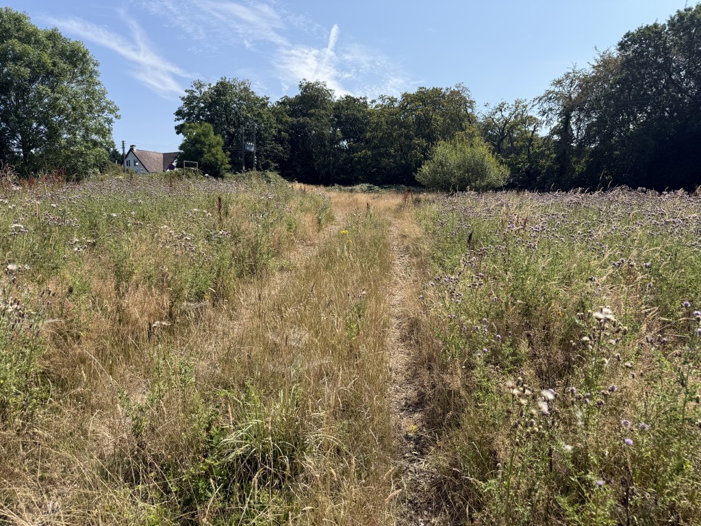 Lot: 94 - PARCEL OF FREEHOLD LAND EXTENDING TO 3.22 ACRES WITH POTENTIAL - Further field view
